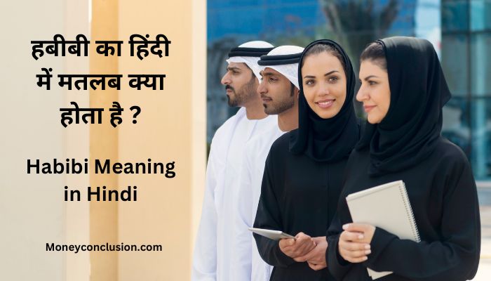 Habibi Meaning in Hindi