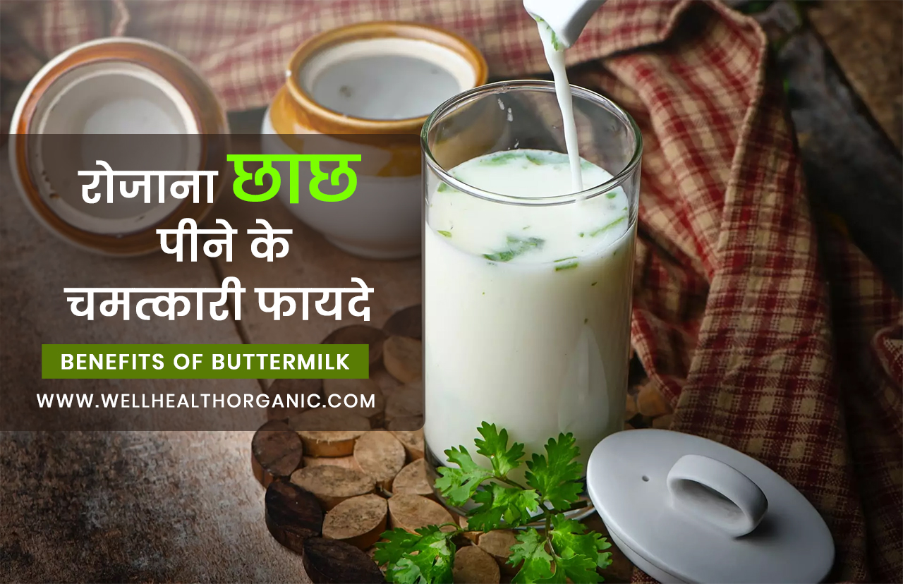wellhealthorganic.com:do-you-know-12-benefits-of-drinking-buttermilk-daily